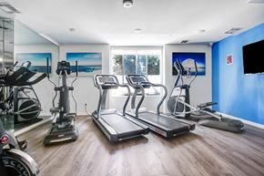 Van Nuys apartment for rent - the gym at the resort at longboat key club