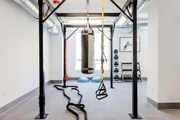 Ufc sponsored gym