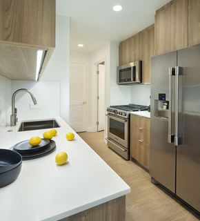 Los Angeles apartment for rent - a kitchen with stainless steel appliances and a counter with lemons