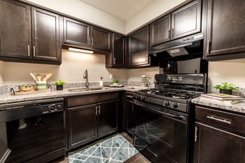 Fully-equipped kitchen – including dishwasher