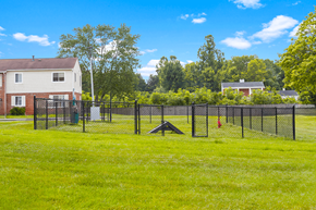 Bluffton apartment for rent - Dog park at Capri Meadows Apartments, offering a fenced area with open space for pets to play.