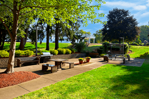 Kent apartment for rent - BBQ and picnic area featuring benches, a grill, and trees at Kentwood Square Apartments.
