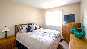 Williamsville apartment for rent - Bedroom in a one-bedroom apartment at Village Square Apartments with ample space and natural light.