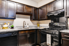 Indianapolis apartment for rent - Kitchen in a 1-bed, 1-bath apartment at Ashton Brook, featuring a gas stove, sink, and cabinets.