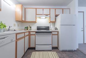 Hobart apartment for rent - Kitchen with oven, dishwasher and refrigerator at Kirby Manor