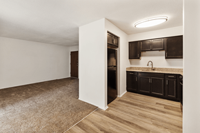 Indianapolis apartment for rent - Spacious 1-bed, 1-bath apartment with open kitchen and living room at Bradford Lake Apartments.