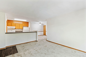 Chesapeake apartment for rent - Living room in a 2-bedroom apartment at Governors Pointe Apartments.