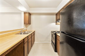 Bloomington apartment for rent - A black refrigerator sits next to a sink in a kitchen.