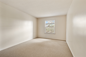 Bloomington apartment for rent - A room with a carpeted floor and a window showing a view of trees.