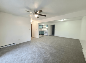 Mt. Vernon apartment for rent - A spacious room with a ceiling fan and carpeted floor.