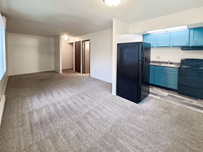 Mt. Vernon apartment for rent - A black refrigerator sits in a kitchen with blue cabinets.