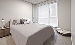 Seattle apartment for rent - The Century Seattle Apartments - Interior