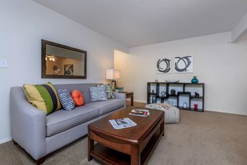 Roanoke apartment for rent - a living room with a couch and a coffee table