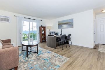Ithaca apartment for rent - a living room with a couch and a chair and a desk
