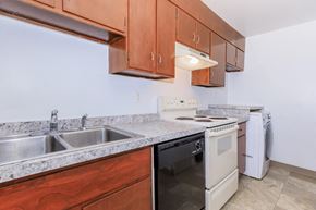 Ithaca apartment for rent - a kitchen with wood cabinets and white appliances and a sink