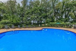 Kent apartment for rent - a large blue swimming pool with trees in the background