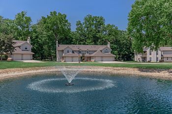 Decorative pond views*