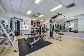 Mount Joy townhouse for rent - A gym with a variety of equipment including a leg press machine at The Crest at Elm Tree, Pennsylvania