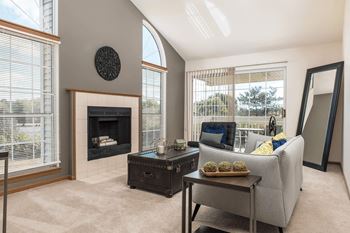 Wood-burning fireplace