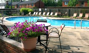 Harper Woods apartment for rent - A pool with chairs around it and a flower pot on the side.