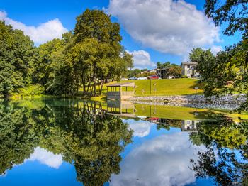 Pond with picnic and bbq areas