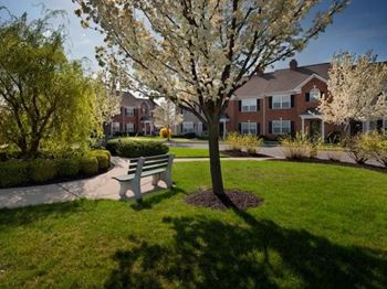 Grassy area with picnic bench