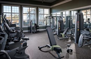 A gym with a row of treadmills