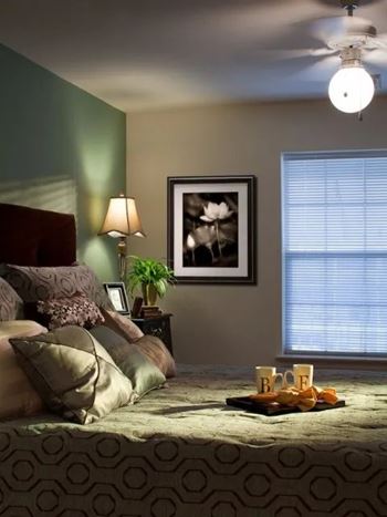 Comfortable bedroom