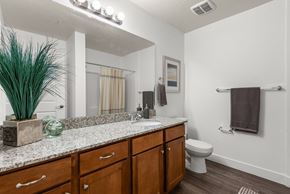 Salt Lake City apartment for rent - A bathroom with a white toilet, a brown towel, and a potted plant.