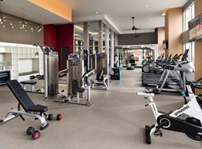 Laguna Niguel apartment for rent - A Spinning bike is in a well-equipped gym with a variety of other exercise equipment.
