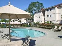 Lakewood apartment for rent - A large umbrella is next to a pool with chairs underneath it.
