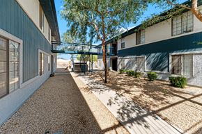 Wickenburg apartment for rent - A tree in front of a building with a playground in the background.
