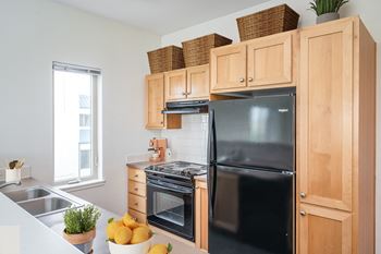 Modern designer kitchens