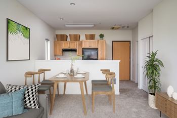 Modern designer kitchens