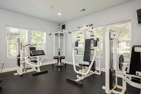 Tualatin apartment for rent - A well-equipped home gym with various exercise machines.