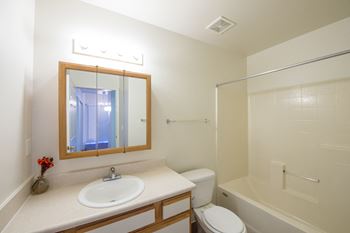 Bathtub