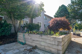 Community raised garden beds
