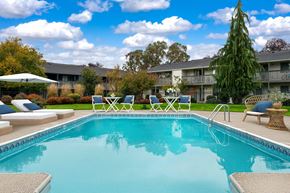 Vancouver apartment for rent - A swimming pool surrounded by lounge chairs and trees.