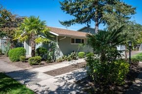 Albany apartment for rent - A house with a driveway and a tree in front.