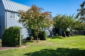 Albany apartment for rent - A house with a green lawn and trees in front.
