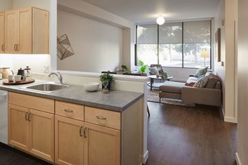 Happy Valley apartment for rent - a kitchen with a sink and a living room with a couch