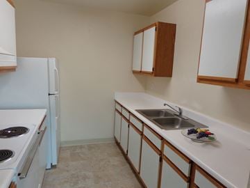 Bullhead apartment for rent - a kitchen with a sink and a stove and a refrigerator