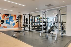 Portland apartment for rent - A gym with a variety of equipment including weights and a treadmill.