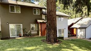 Glendale apartment for rent - a house with a large tree in the front of it