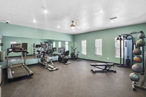 Los Ranchos De Alebuquerque apartment for rent - A spacious gym with a variety of equipment including treadmills, weights, and exercise machines.