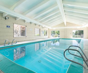 Year round pool & spa