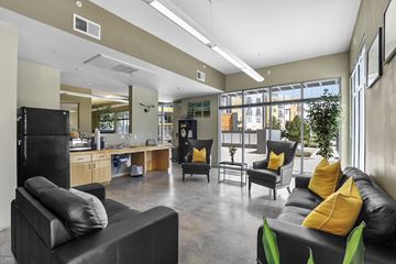 Albuquerque apartment for rent - A black couch with yellow pillows sits in a modern living room.