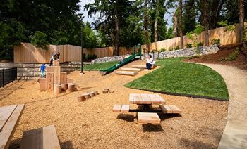Outdoor play structure