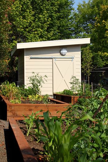 Community garden and courtyard