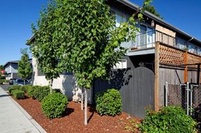 Portland apartment for rent - Villad'ShirlLee_Photo_Sideyards